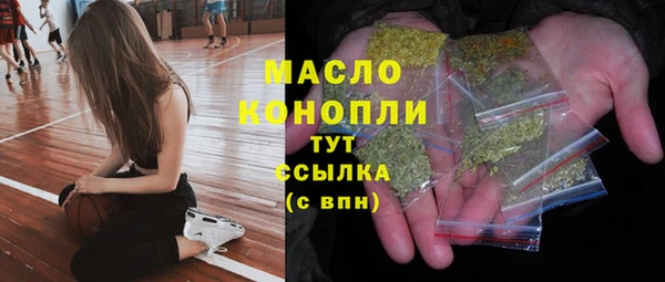 сатива Коряжма