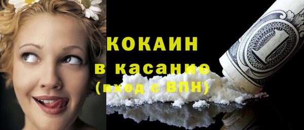 сатива Коряжма