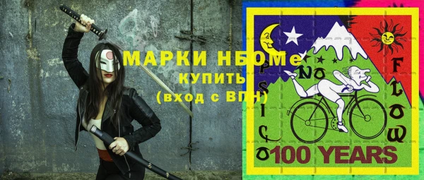сатива Коряжма