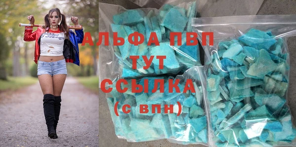 сатива Коряжма