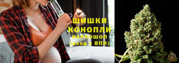каннабис Корсаков